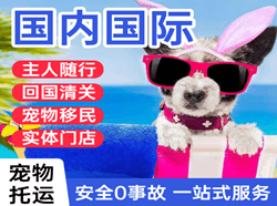 齐齐哈尔机场物流国际宠物托运 【国